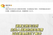 娱乐718吃瓜网网址,揭秘娱乐圈最新热点，带你畅游八卦世界